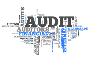 Word Cloud "Audit"