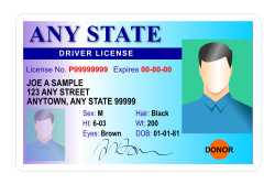 Driver license